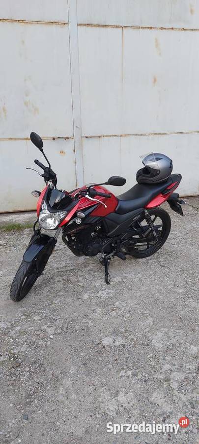 Yamah YS 125 2019 nieuszkodzony
