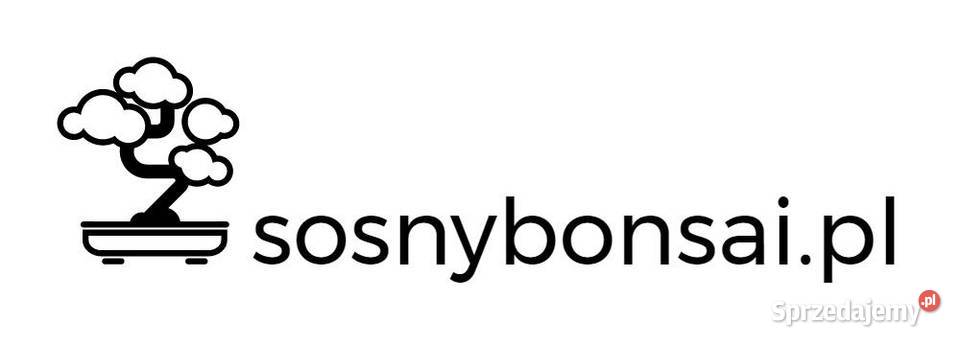 Metasekwoja chińska obwód 1416 wys 45 m z bryłą