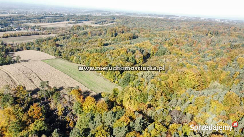 Grunt 15327m2 Syrynia