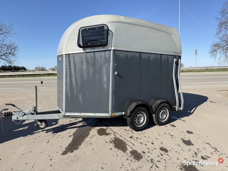 Boeckmann duo Bckmann do koni Boeckman