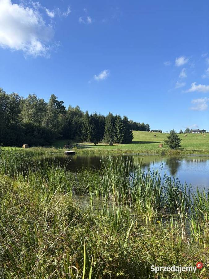 Urocze Działki budowlane Elbląga 97zł/m2 warmińsko-mazurskie Rogowo