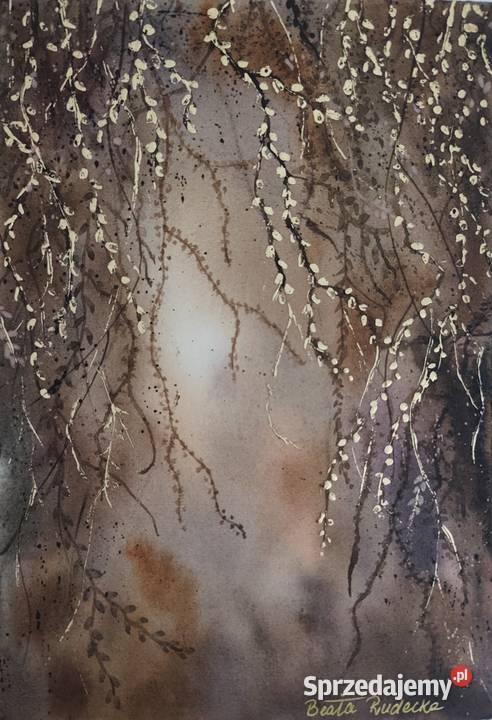 Akwarela Akwarelka Obraz pt Zaczarowany Ogród 2 Olchowiec