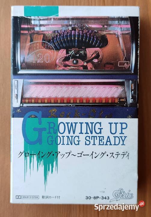 Wonderful Melodies Growing Up Going Steady Bochnia sprzedam