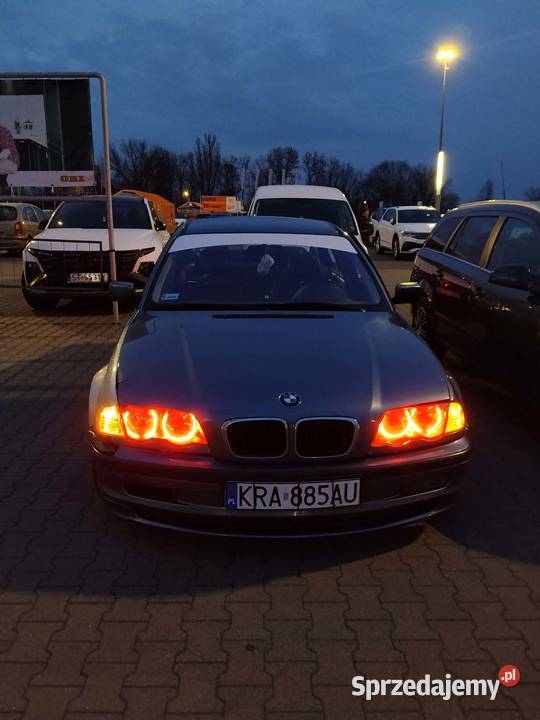 Zimowy wojownik Pozostałe Bukowno