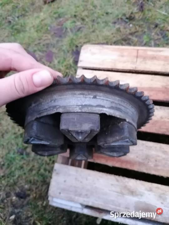 Zabierak zębatka tylna jawa 350 cz cezet Kock