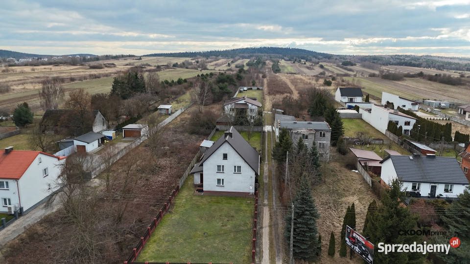 Radlin 41 ha działka inwestycyjna z domem Sprzedaż Grunty i działki