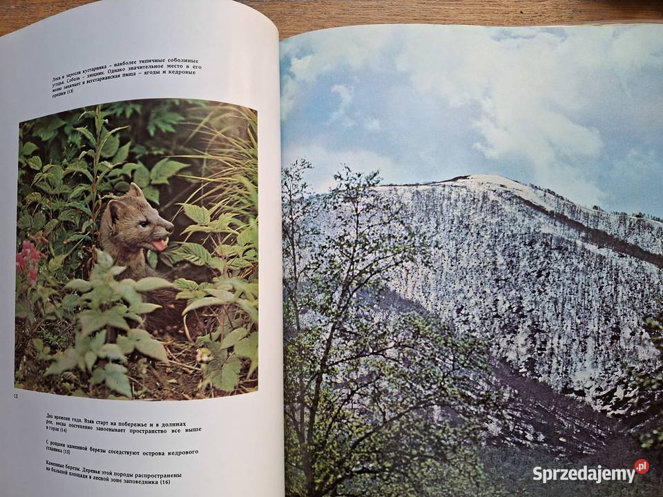 Kronocki rezerwat przyrody Kraków