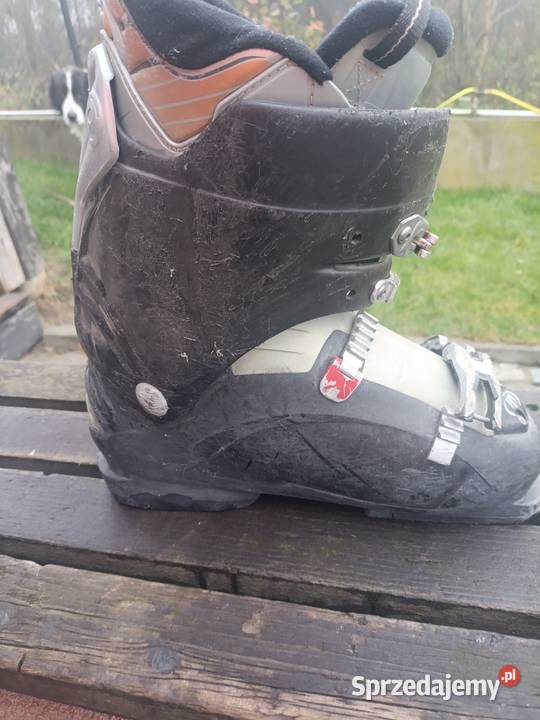 Sprzedam narty z butami Rzeplin