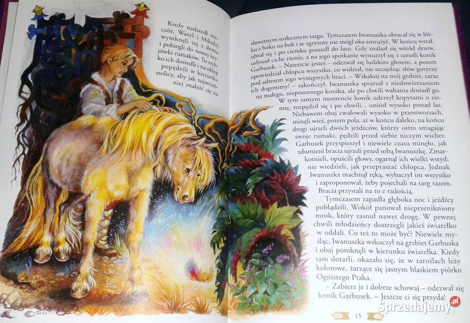Konik garbusek i inne bajki praca zbiorowa twarda lubelskie Chełm