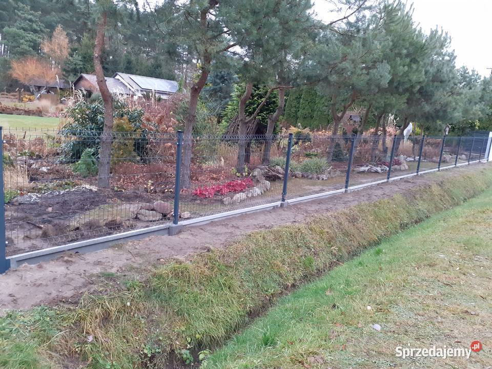 Ogrodzenie panelowe 123 fi4 Pierzchnica sprzedam