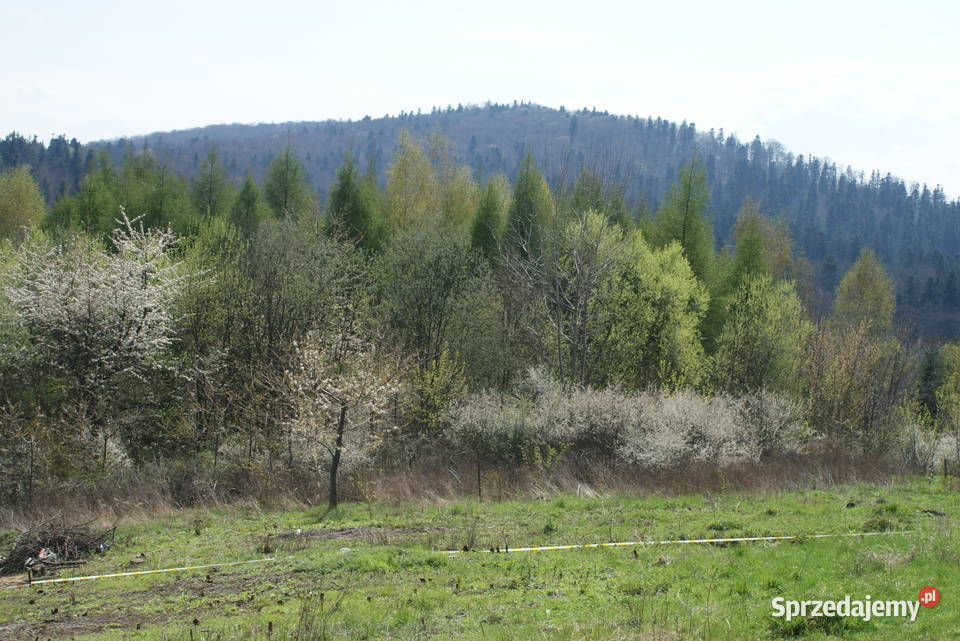 sprzedam działkę 27a Lesko Bieszczady z 56zł/m2 sprzedam