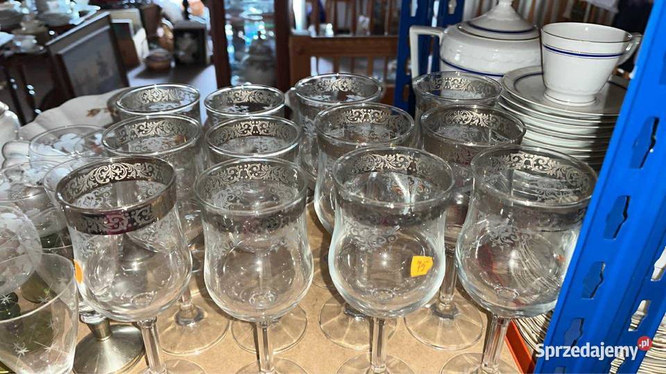 Lenox Moonspun Crystal platyna Kielich do wody Gdańsk