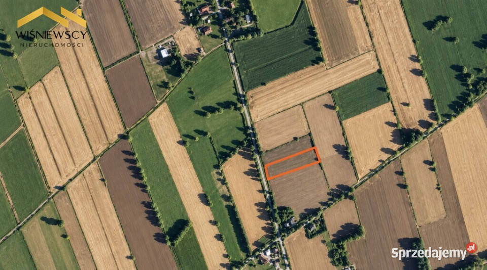 Dwie działki rolne w Zwierznie razem osobno asfalt warmińsko-mazurskie Zwierzno