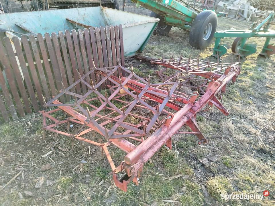 Brony 5 polowe polskie możliwość dowozu mazowieckie Gózd