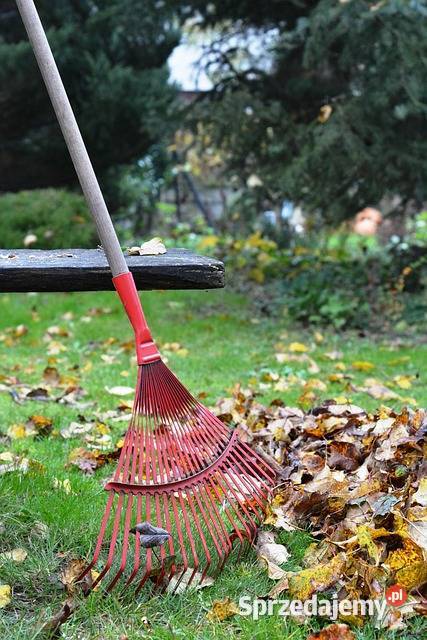 Koszenie trawników i prace ogrodowe