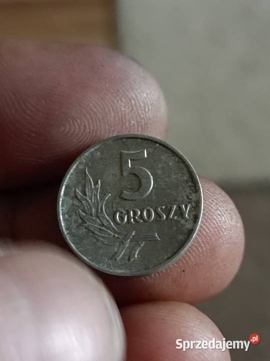 Sprzedam 5 gr 1971r zzm Chełm sprzedam