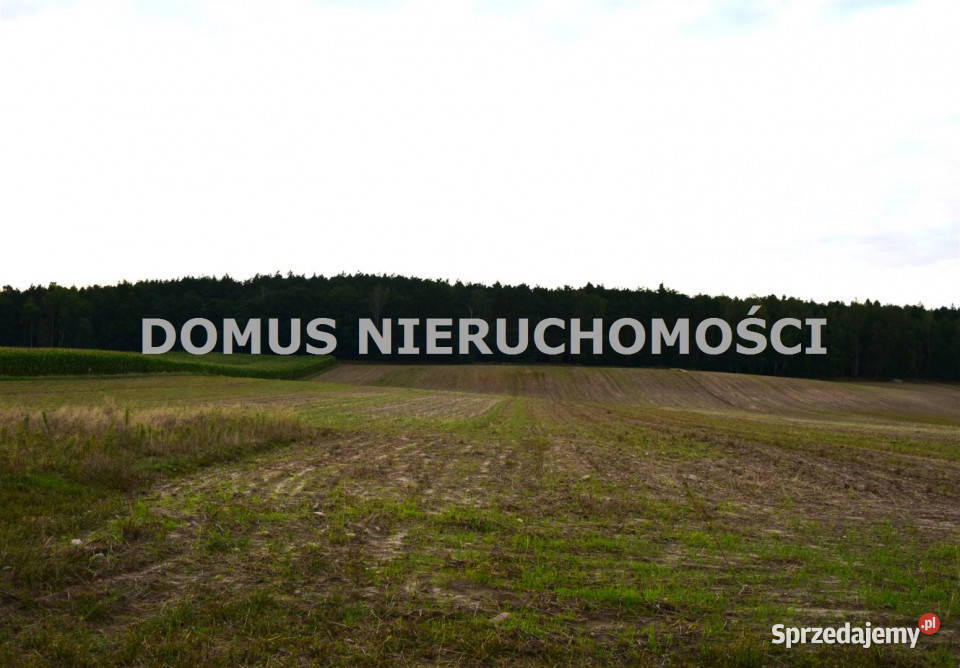 Działka Tworzyjanki 3001m2 gaz sprzedam