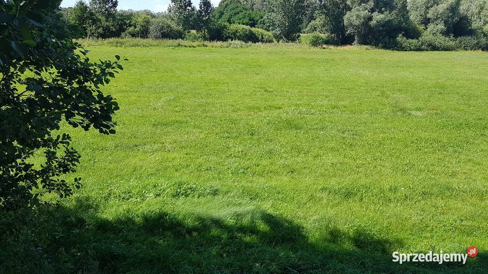 Działka z planem energia i natura czego chcesz łódzkie Poddębice