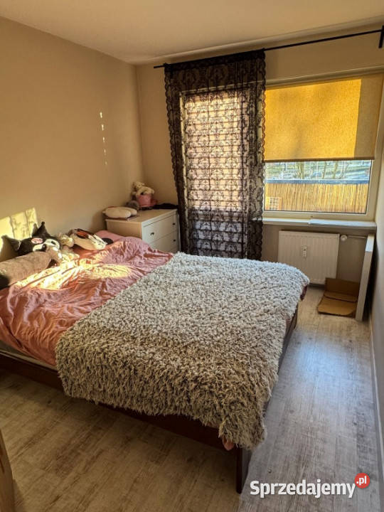 Mieszkanie 3 pokojowe na wynajem Kozanów Wrocław sprzedam