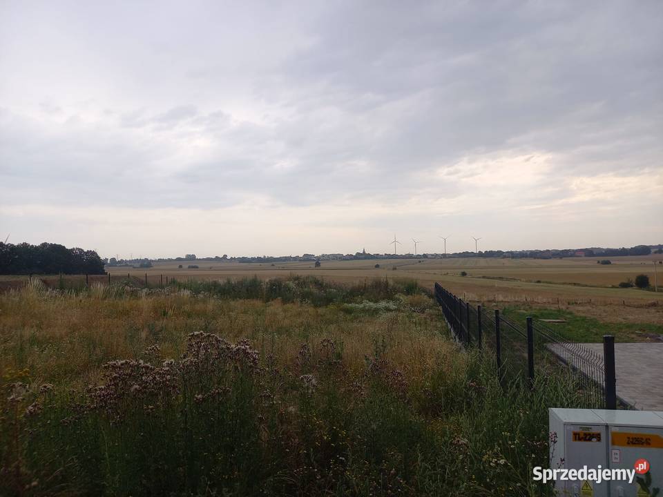 Działka 01039 ha Strachowice Legnickie Pole