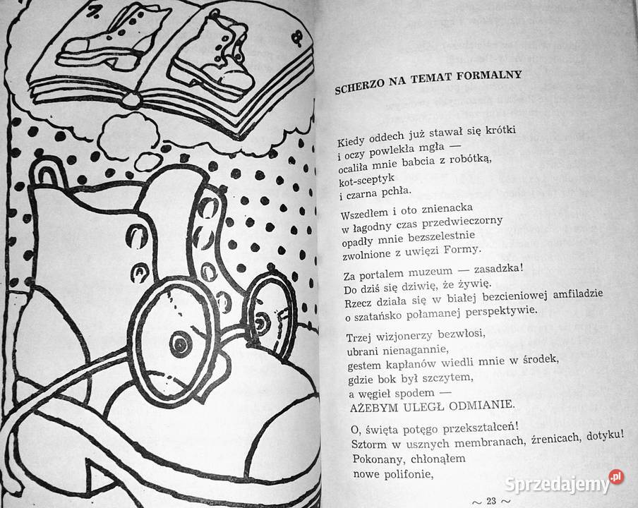 Oda do głupoty Aleksander Ziemny Pozostałe Chełm