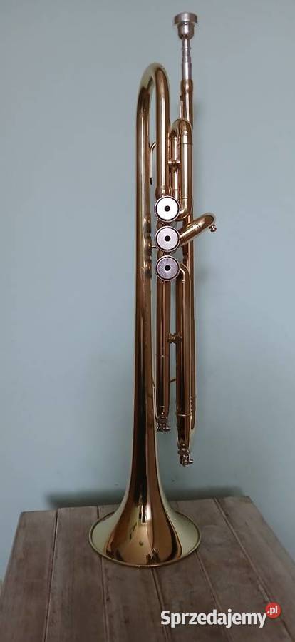 Trąbka mosiezna Kraków sprzedam