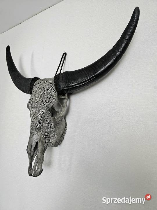 UNIKATRzeźbiona duża czaszka bawoła rękodzieło Wałbrzych