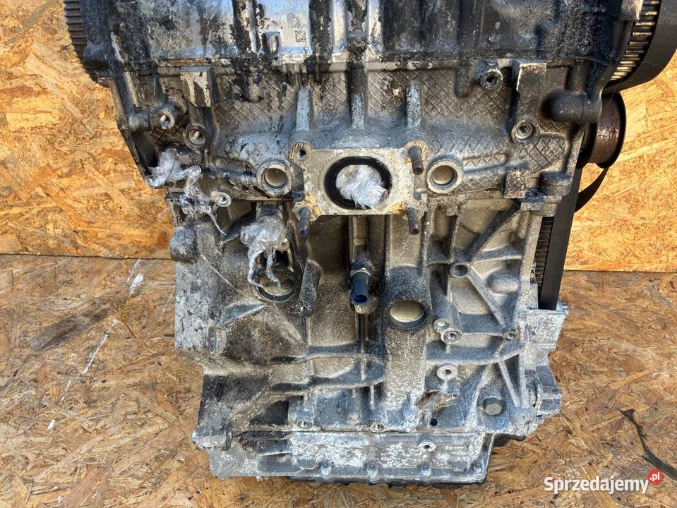 VW SEAT AUDI SKODA 14 TSI CZD 123 PRZEBIEG wielkopolskie