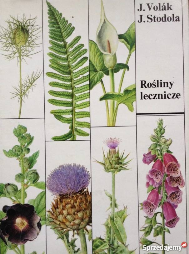 ZIOŁOLECZNICTWO I LEKI ROŚLINNE JAN MUSZYŃSKI Zielona Góra