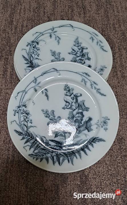 Talerz kolekcjonerski English Ironstone J G Suwałki