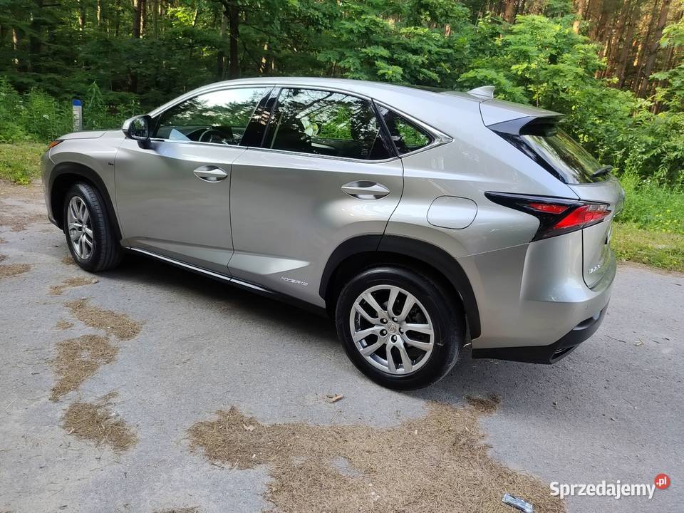 Lexus 300H 44 Panorama Bezwypadkowy Serwisowany Mielec