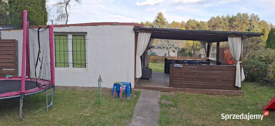 Działka ogrodnicza ROD 35lecia Zielona Góra 350m2 Sprzedaż