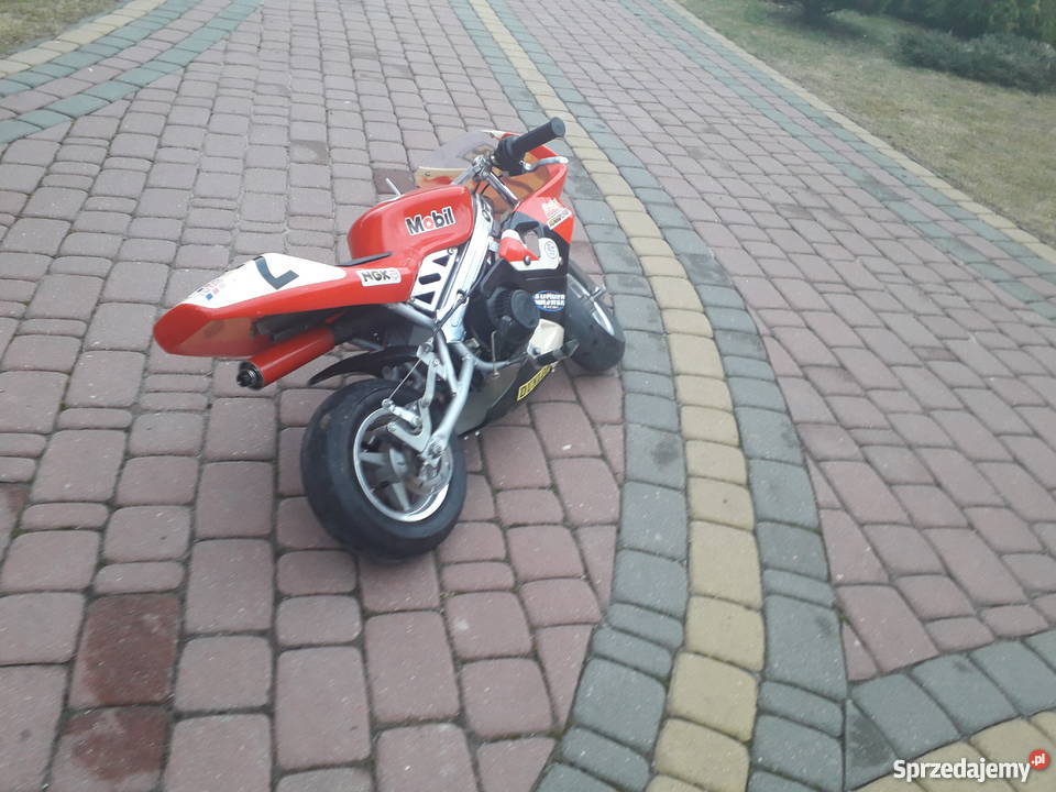 Mini ścigacz pocket bike Rok produkcji 2004 podkarpackie Jeżowe sprzedam