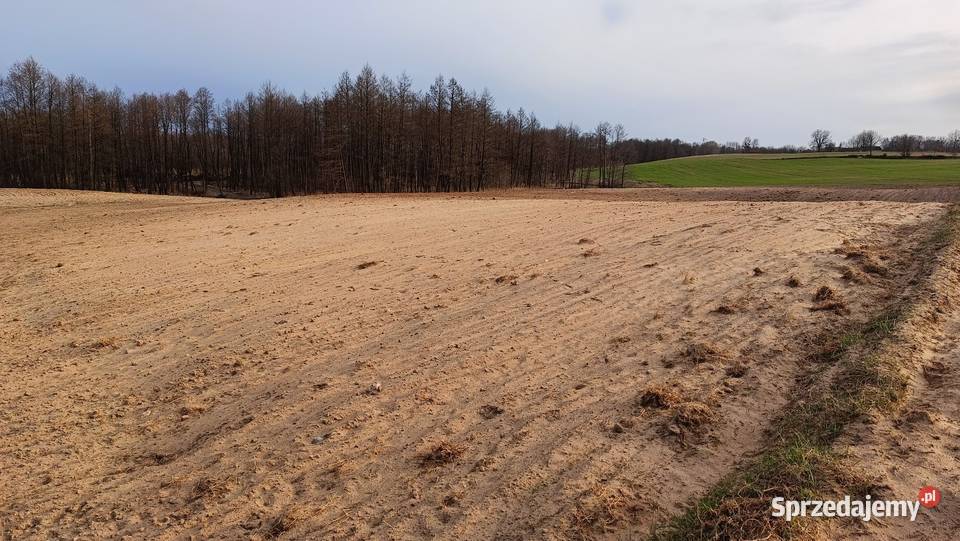 Sprzedam działkę z WARUNKAMI ZABUDOWY o Teodorowo