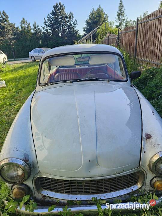 Syrena 104