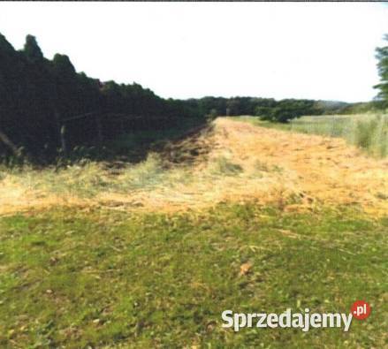 Udział 38 w prawie własności do nieruchomości Teodozjów