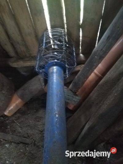 Żmijka do zboża nieuszkodzony Uszew