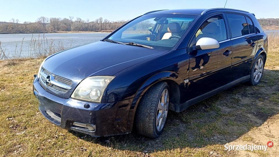 Opel Signum 22 Dti Okazja granatowy Annopol