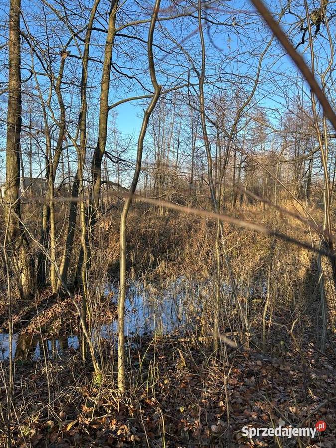 Syndyk sprzeda nieruchomość gruntową Targówka