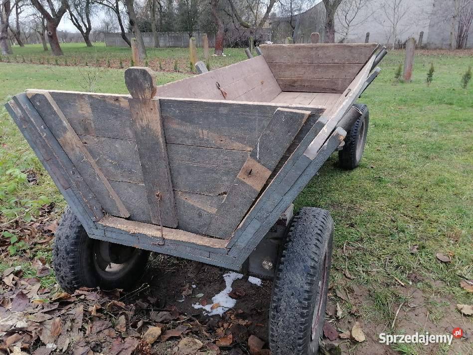 Wóz konny promocja Jelnia