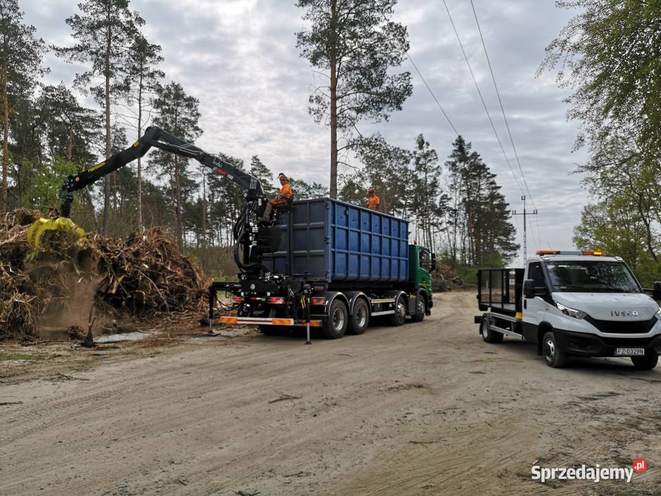 Przygotowanie terenu inwestycji Wycinka drzew lubuskie Zielona Góra