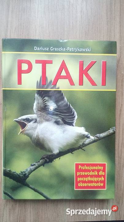 Ptaki