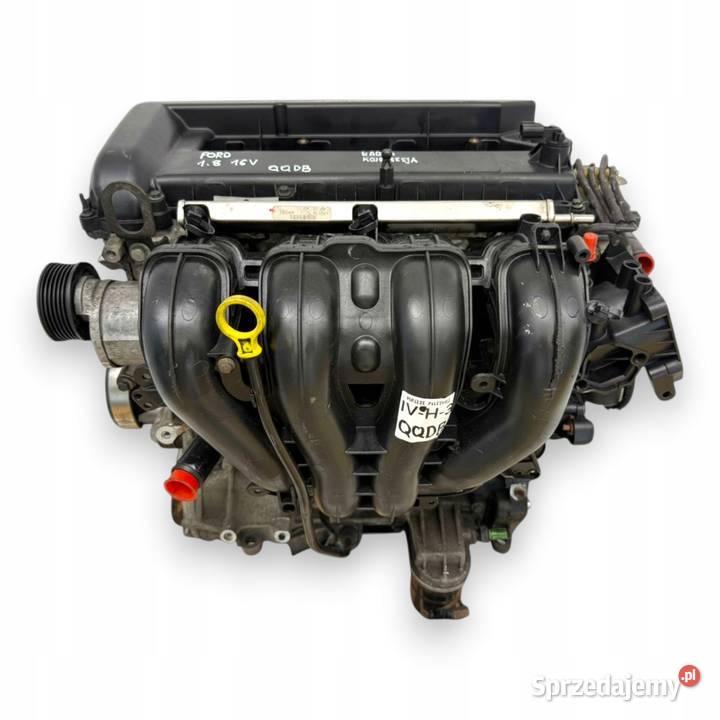 SILNIK QQDB Ford Focus II MK2 C C 18 16V 125 lubelskie Chełm
