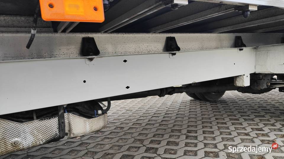 Maxi bliźniaki Przysucha