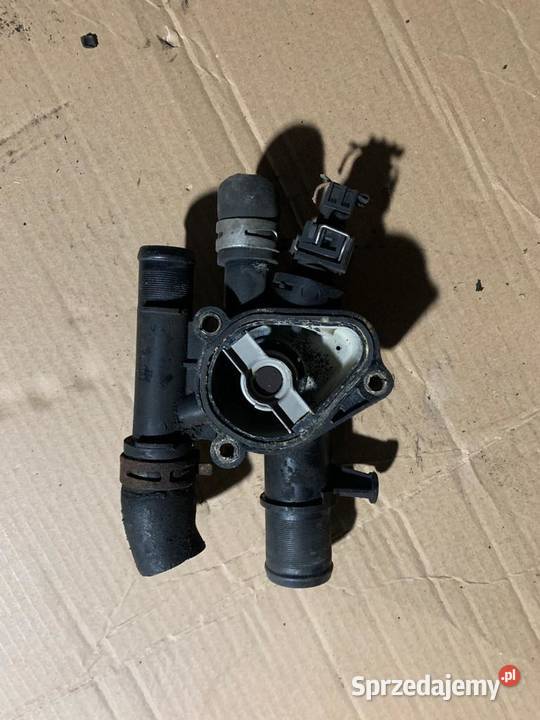 Obudowa termostatu Renault 19 dCi scenic 2 II Układ chłodzenia Szczecin