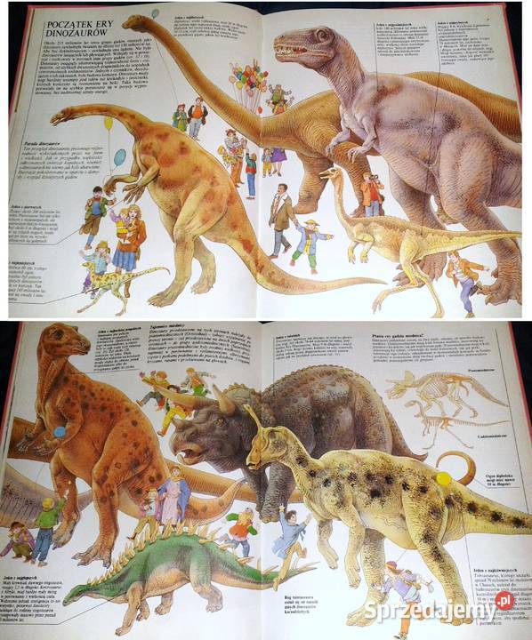 Życie prehistoryczne Steve Parker Rok wydania 1991 Pozostałe Chełm