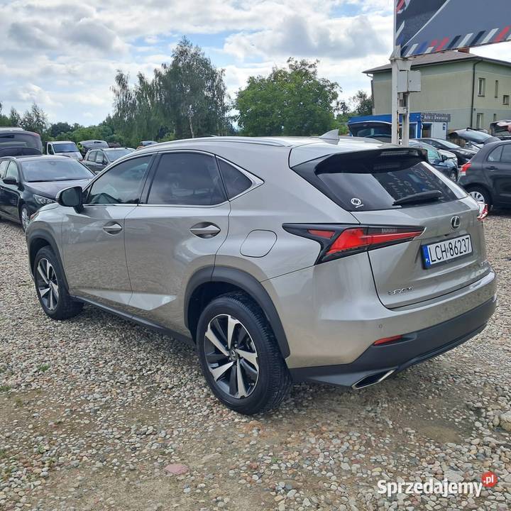 Lexus NX 300 Premium Niski przebieg Skóry Stan sprowadzony Chełm sprzedam