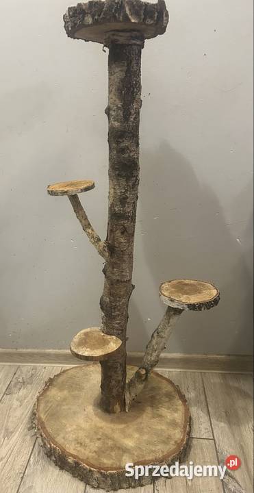 Kwietnik z brzozy Poznań