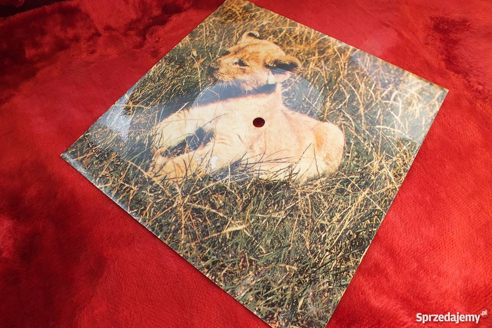 Stara pocztówka dźwiękowa Linda Bella Charlie 1 płyta Żary