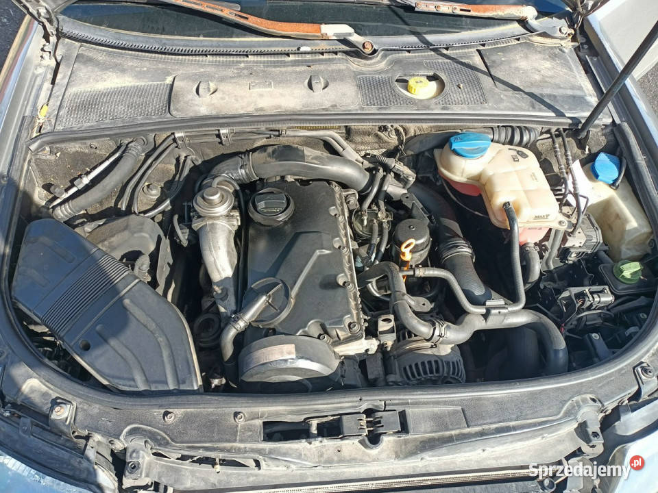 Audi A4 Audi A4 19TDI 130 02r B6 20002004 Rok produkcji 2002 małopolskie Tarnów